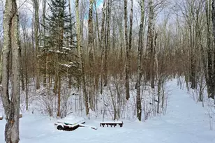 N8878 Blue Moon Ln, Westboro, WI 54490 - Photo 9