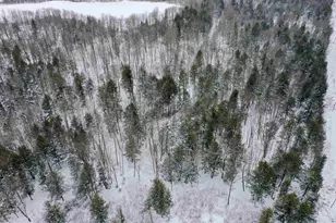 W2195 Co Rd YY, Ogema, WI 54459 - Photo 9