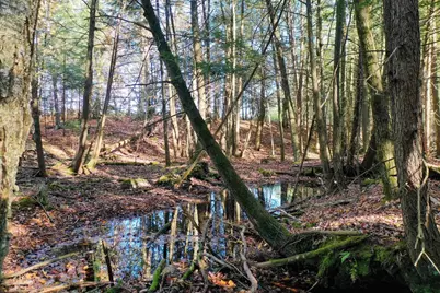 W2195 County Road Yy, Ogema, WI 54459 - Photo 15