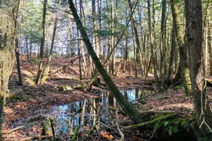 W2195 Co Rd YY, Ogema, WI 54459 - Photo 15