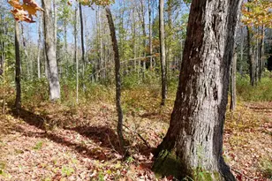 W2195 Co Rd YY, Ogema, WI 54459 - Photo 11