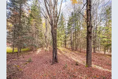 N16344 Kaley Road, Butternut, WI 54514 - Photo 49