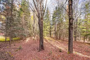 N16344 Kaley Rd, Butternut, WI 54514 - Photo 49