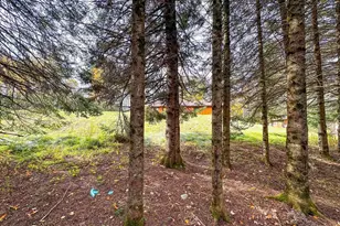 N16344 Kaley Rd, Butternut, WI 54514 - Photo 51