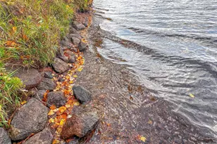 N9129 Elk River Rd, Phillips, WI 54555 - Photo 53