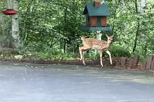 N9689 Bass Lake Ln, Phillips, WI 54555 - Photo 37