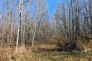 W9285 Cth S, Phillips, WI 54555 - Photo 27