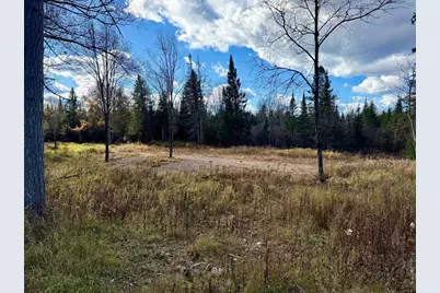 82136 Cth F, Butternut, WI 54514 - Photo 37