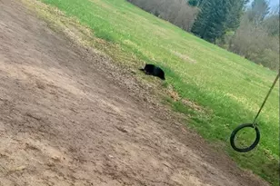 82136 Cth F, Butternut, WI 54514 - Photo 7