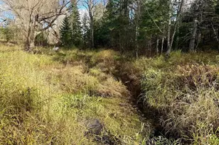 82136 Cth F, Butternut, WI 54514 - Photo 45