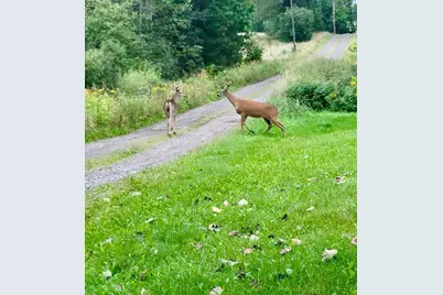 82136 Cth F, Butternut, WI 54514 - Photo 5