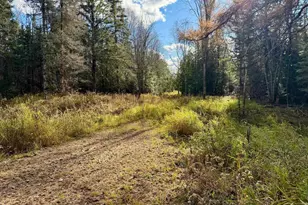 82136 Cth F, Butternut, WI 54514 - Photo 41