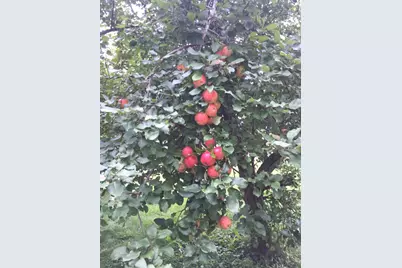 132 Reuter Ave, , WI 54868 - Photo 27