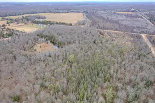 169243 County Line Rd, Merrill, WI 54452 - Photo 49