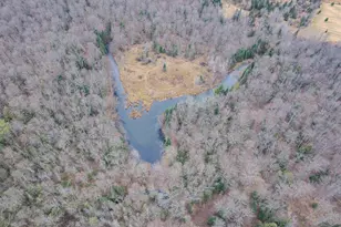 169243 County Line Rd, Merrill, WI 54452 - Photo 45