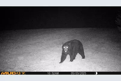 N3991 Maple Lane, Tigerton, WI 54486 - Photo 53