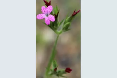 N10660 Tower Road, Phillips, WI 54555 - Photo 47