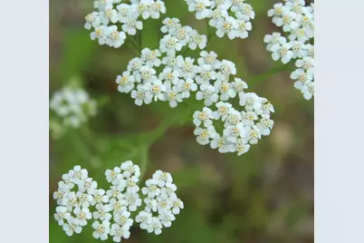 N10660 Tower Road, Phillips, WI 54555 - Photo 45