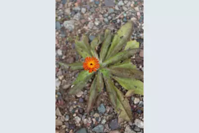 N10660 Tower Road, Phillips, WI 54555 - Photo 49