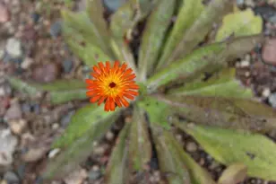 N10660 Tower Rd, Phillips, WI 54555 - Photo 49