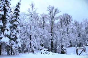 N10660 Tower Rd, Phillips, WI 54555 - Photo 27