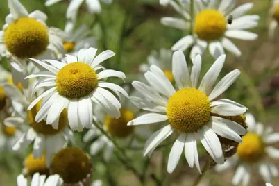 N10660 Tower Road, Phillips, WI 54555 - Photo 41