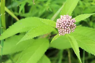 N10660 Tower Rd, Phillips, WI 54555 - Photo 43