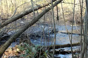 N10660 Tower Rd, Phillips, WI 54555 - Photo 25