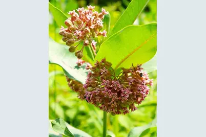 N10660 Tower Road, Phillips, WI 54555 - Photo 37