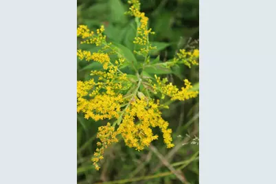 N10660 Tower Road, Phillips, WI 54555 - Photo 35