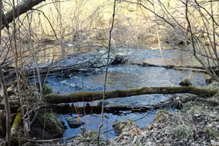 N10660 Tower Rd, Phillips, WI 54555 - Photo 5