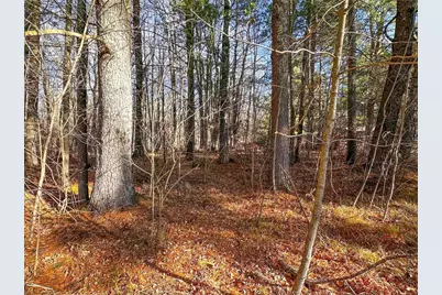 4824N Lake Winter Road, Winter, WI 54896 - Photo 47