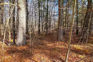 4824N Lake Winter Rd, Winter, WI 54896 - Photo 47