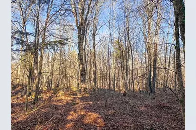 4824N Lake Winter Road, Winter, WI 54896 - Photo 51