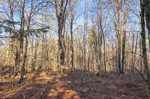 4824N Lake Winter Rd, Winter, WI 54896 - Photo 51