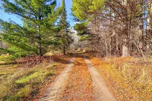 4824N Lake Winter Rd, Winter, WI 54896 - Photo 3