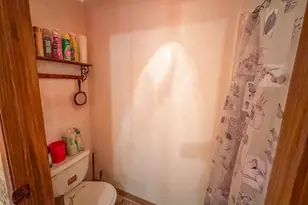 4824N Lake Winter Rd, Winter, WI 54896 - Photo 37