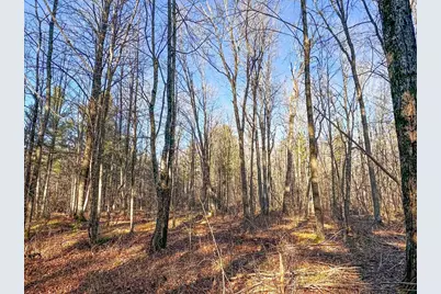 4824N Lake Winter Road, Winter, WI 54896 - Photo 49