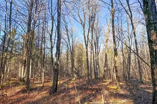 4824N Lake Winter Rd, Winter, WI 54896 - Photo 49