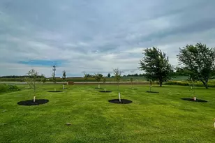 N925 Gibson Dr, Medford, WI 54451 - Photo 19