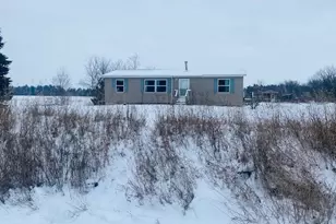 9505 Town Hall Rd, Amherst Junction, WI 54407 - Photo 3