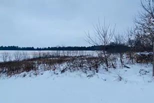 9505 Town Hall Rd, Amherst Junction, WI 54407 - Photo 27