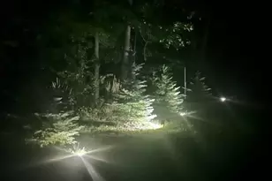 217330 Silver Birch Cir, Elderon, WI 54423 - Photo 23