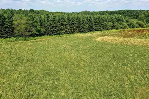 124236 Kohl Rd, Athens, WI 54411 - Photo 25