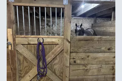 10671 State Highway 10, Marshfield, WI 54449 - Photo 13