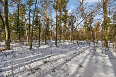 12.6 Acres Czech Avenue, Friendship, WI 53934 - Photo 31