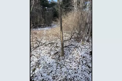 12.6 Acres Czech Avenue, Friendship, WI 53934 - Photo 5