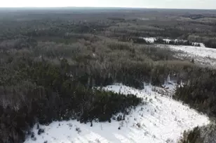 4221 County Road Q, Pelican Lake, WI 54463 - Photo 33