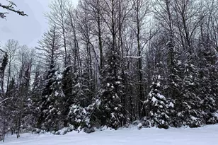 15865 Thrasher Rd, Alvin, WI 54542 - Photo 27