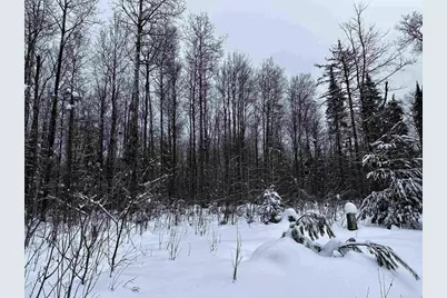 15865 Thrasher Road, Alvin, WI 54542 - Photo 23